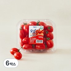 충남오감 세도농협 GAP 인증 대추방울토마토, 500g, 6박스