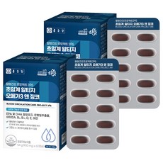 종근당 혈행 건강프로젝트365 초임계 알티지 오메가3 앤 징코, 60정, 2개