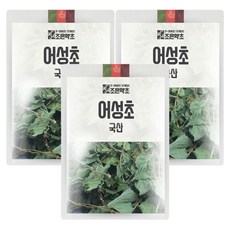 조은약초 어성초, 100g, 3개