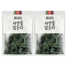 조은약초 씀바귀, 200g, 2개