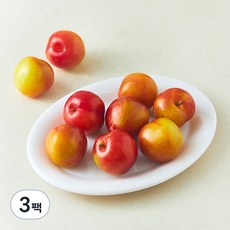 새콤 달콤한 자두(특대과), 500g, 3팩