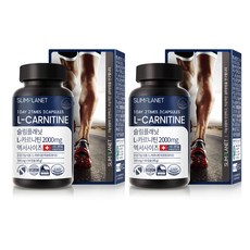 슬림플래닛 엘카르니틴 2000mg 엑서사이즈, 90정, 2개