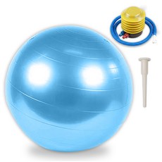디어모모 홈트 홈짐 필라테스 요가 짐볼, 블루
