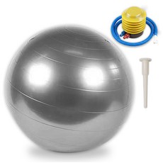 디어모모 홈트 홈짐 필라테스 요가 짐볼, 그레이