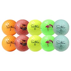 Saintnine 高爾夫落球 特A+級 42.67mm, 混色, 10個, 1組
