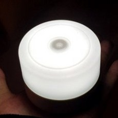 파파스토이 LED 심플 라이트 무드등, Day Light