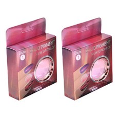 스위스녹스 투톤 오로라 솔리드 네일 파우더, 2개, 핑크퍼플