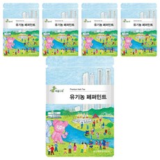 areumdre 薄荷茶三角茶包, 1.1g, 25入, 5個