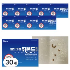 월드크린 노런 쥐 본드 스페셜, 2매입, 30개