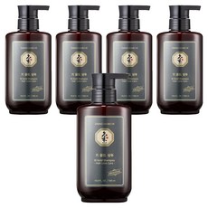 댕기머리 오리지널 기골드 샴푸, 500ml, 5개