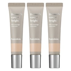 한스킨 블레미쉬 커버 컨실러 12g, 3개, 브라이트