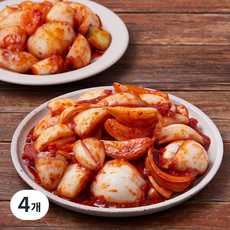 모산김치 갓담근 창녕양파 김치, 1kg, 4개