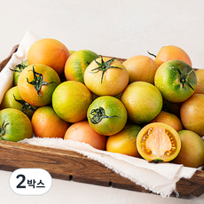 강서시장 새벽경매 대저토마토 2S~M, 2.5kg, 2박스