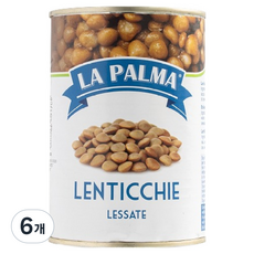 라팔마 렌틸빈, 400g, 6개