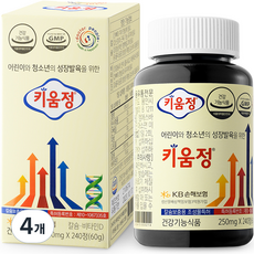 키움정, 240정, 4개