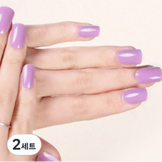 데이소이 베이직 컬러 젤 네일 스티커 11종 x 2p 세트, 10 컬러, 2세트