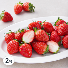 프레시픽 설향딸기, 500g(중과), 2팩