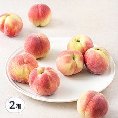 효성팜 대극천 복숭아 중소 8~10입, 2개, 800g