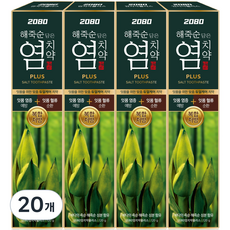 2080 해죽순 담은 염치약 플러스, 120g, 20개
