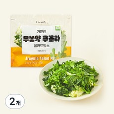 팜에이트 무농약 인증 가뿐한 루꼴라 샐러드믹스 3개입, 210g, 2개