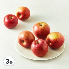 청년농부 당도선별 사과, 1.5kg(소과, 8~10입), 3봉