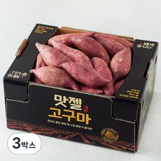 맛젤 해남 호박고구마, 3kg (중), 3박스