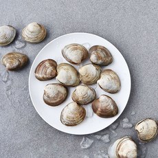 곰곰 백합조개 (냉장), 1개, 500g