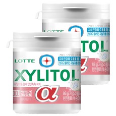 XYLITOL 木糖醇口香糖 桃子口味, 86g, 2罐