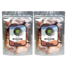 동이약초 영지버섯 통, 250g, 2개