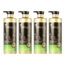 오베르떼 허브 인퓨젼 샴푸, 1L, 4개