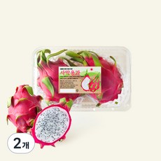 온브릭스 주식회사 농업회사법인 베트남산 사막용과, 2개, 1kg