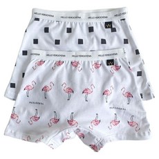 예루예나 여아용 캐릭터 드로즈 사각 팬티 2종 1세트