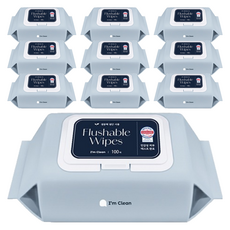 아임클린 저자극 비데 물티슈 캡형, 60g, 100매입, 10개