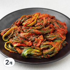 디스이즈잇 실비 갓김치, 2kg, 2개