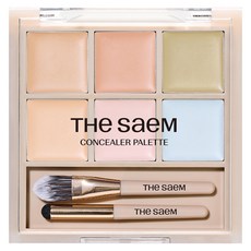 더샘 커버 퍼펙션 컨실러 팔레트 6g, 1개, 02 커버 앤 라이트