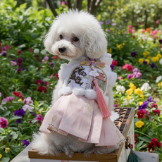 Wavy Days 寵物雲朵流蘇農曆新年節慶寵物生活韓服, 1個, 粉紅色