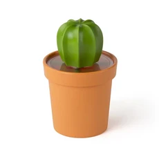 QUALy 仙人掌咖啡罐 101.5x151.5mm, 橘色, 1個