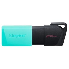 Kingston 金士頓 DataTraveler Exodia M 256GB USB 3.2 隨身碟, 1個