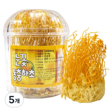 동광한방몰 눈꽃동충하초, 40g, 5개