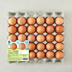 곰곰 무항생제 자연방사 유정란, 1개, 30구