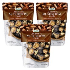 디제이앤에이 표고버섯 크리스프, 65g, 3개