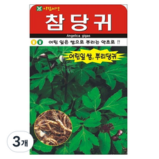 아람종묘 참당귀200립 씨앗, 3개