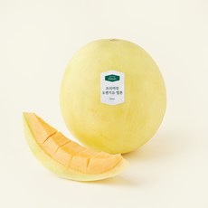 온브릭스 항공직송 프리미엄 오렌지듀 멜론, 1개, 1.7kg
