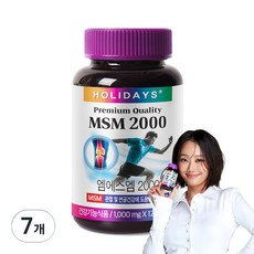 HOLIDAYS MSM 2000, 120錠, 7個