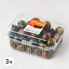 세도농협 GAP 인증 블랙 대추방울토마토, 750g, 3팩
