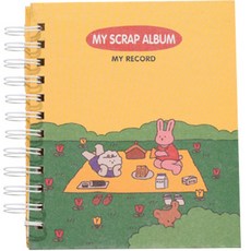 線圈素色相簿, 類型 11, 25張