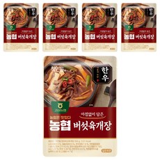 착한들 한우버섯육개장, 5개, 500g