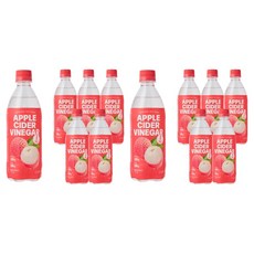 클룹 애사비 리치 제로 탄산음료, 12개, 500ml