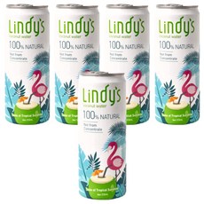 Lindy's 100%原味椰子水 天然健康解渴飲品 隨時享受熱帶風味, 310ml, 5罐