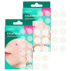 비플레인 시카테롤 스팟패치, 2개, 110개입